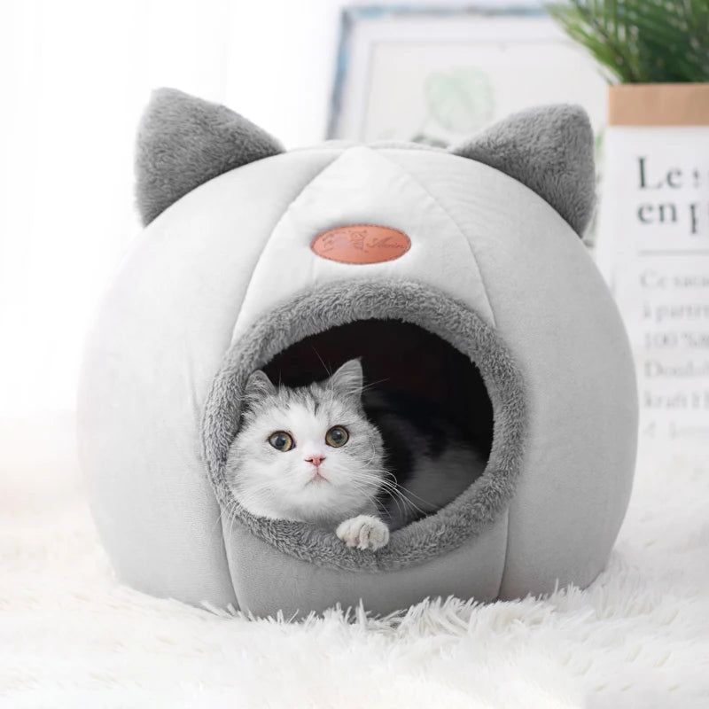 Cat Bed Iittle