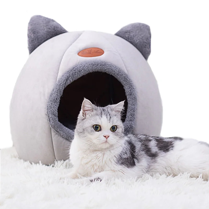 Cat Bed Iittle