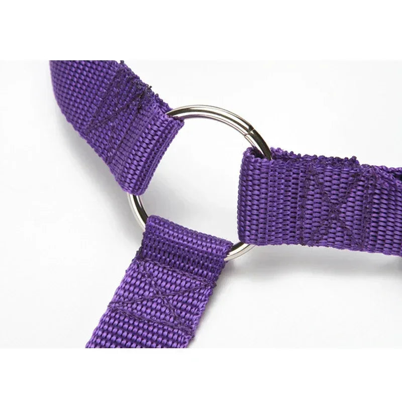 Two-in-one Pet Car Seat Belt