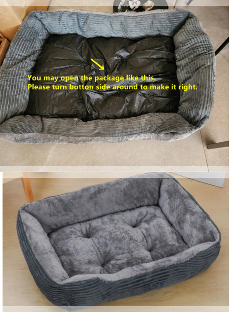 Dogs and cats Bed