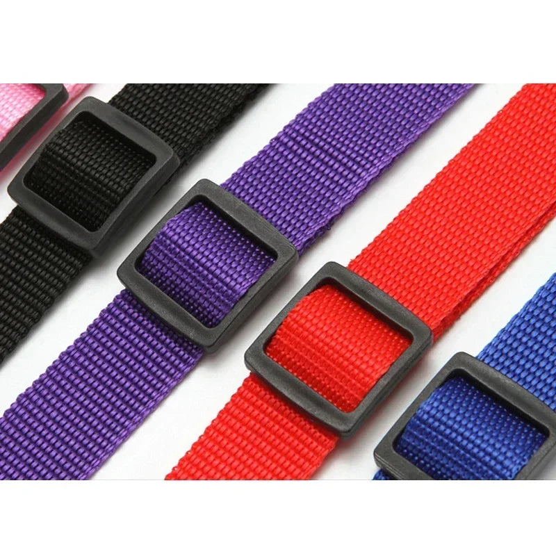 Two-in-one Pet Car Seat Belt