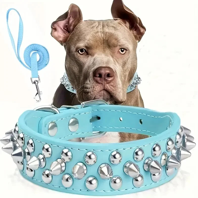 Dog Collar And Leash Set