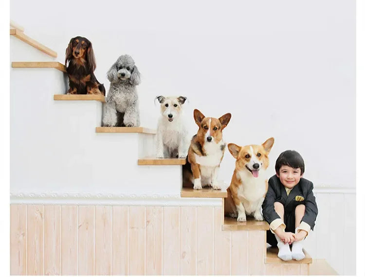 Warm Dog House Soft Nest Pet Large