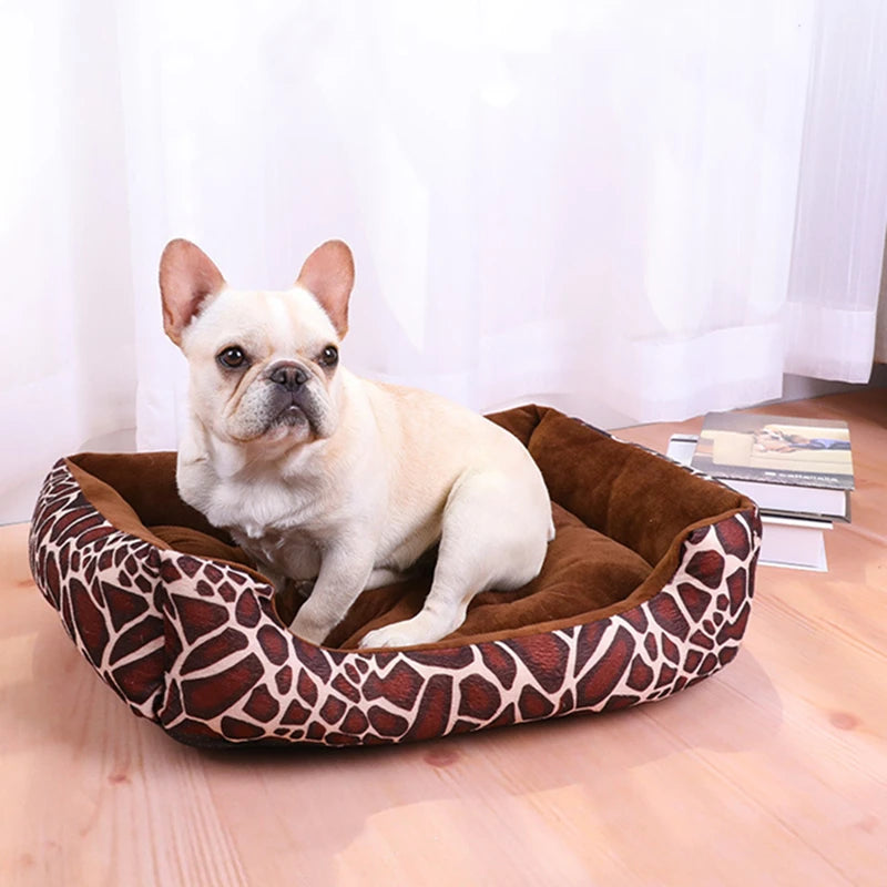 Dogs and cats Bed