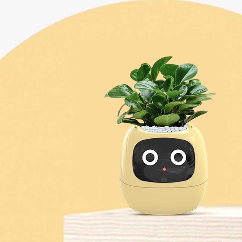 Flower Pot Smart Flower Pot Automatic Watering Feature Built-in Display Interface
