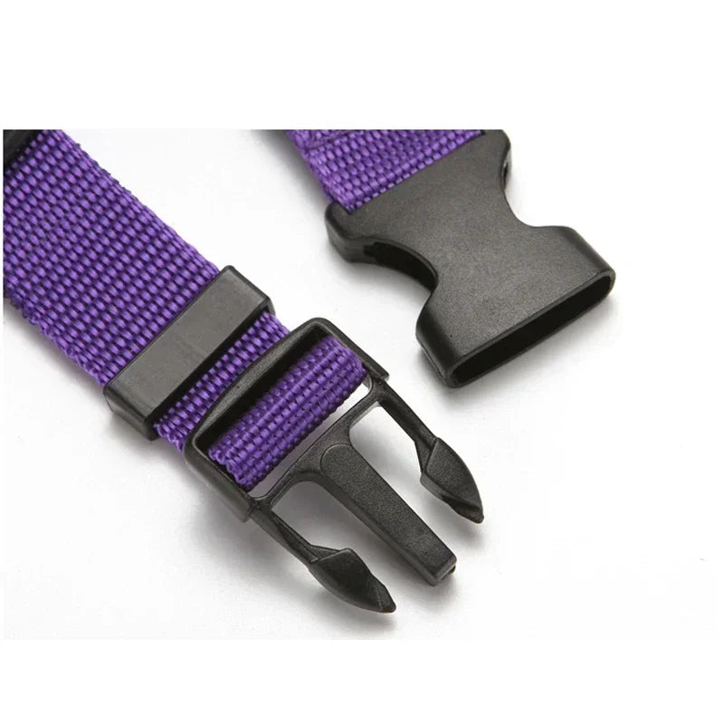 Two-in-one Pet Car Seat Belt