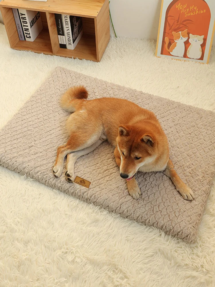 Memory Foam Pet Bed