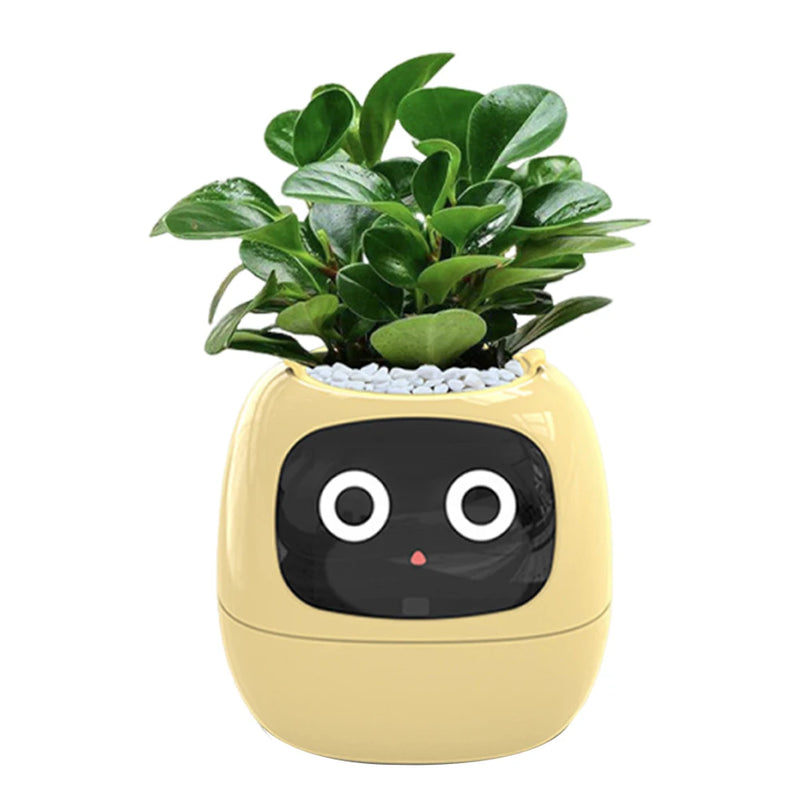 Flower Pot Smart Flower Pot Automatic Watering Feature Built-in Display Interface