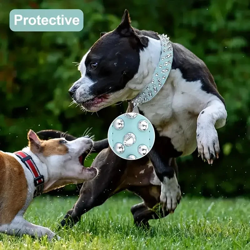 Dog Collar And Leash Set