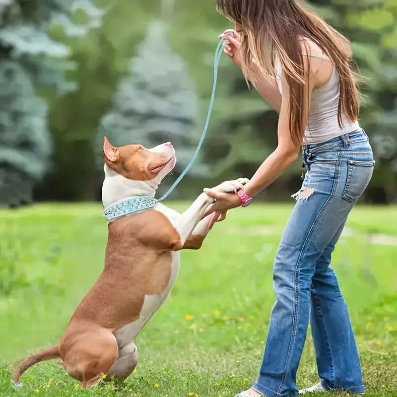 Dog Collar And Leash Set