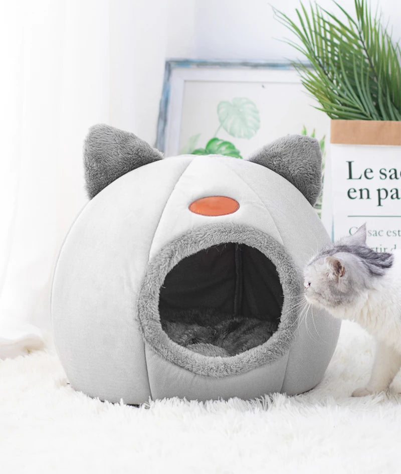 Cat Bed Iittle
