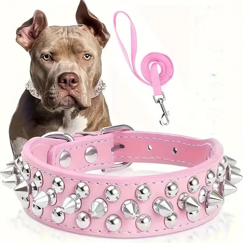 Dog Collar And Leash Set